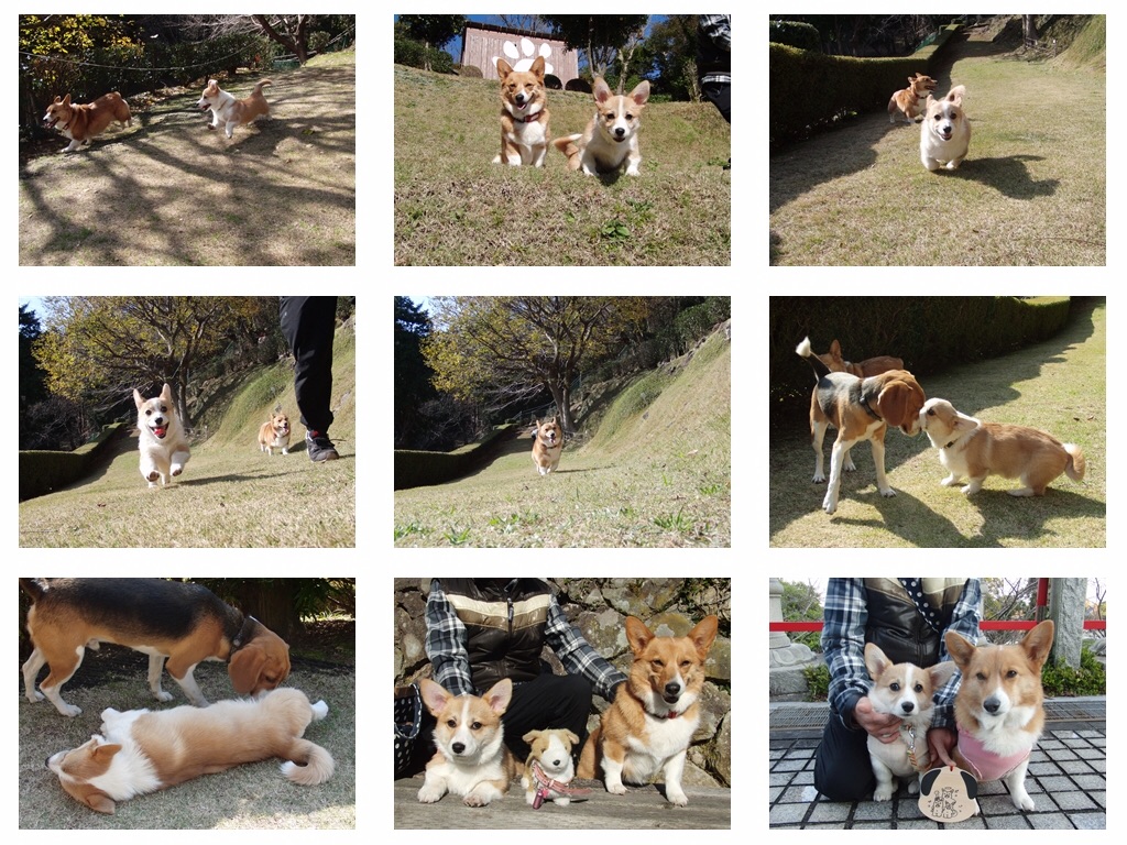 f:id:pokopeko2003:20160103131722j:image f:id:pokopeko2003:20160103131722j:image