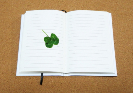 f:id:polepole103:20151123211835j:plain