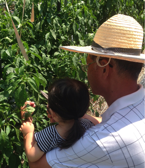 f:id:polish0629:20130812221407j:plain