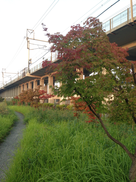 f:id:polish0629:20130911104455j:plain