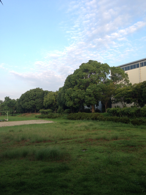 f:id:polish0629:20130911104759j:plain