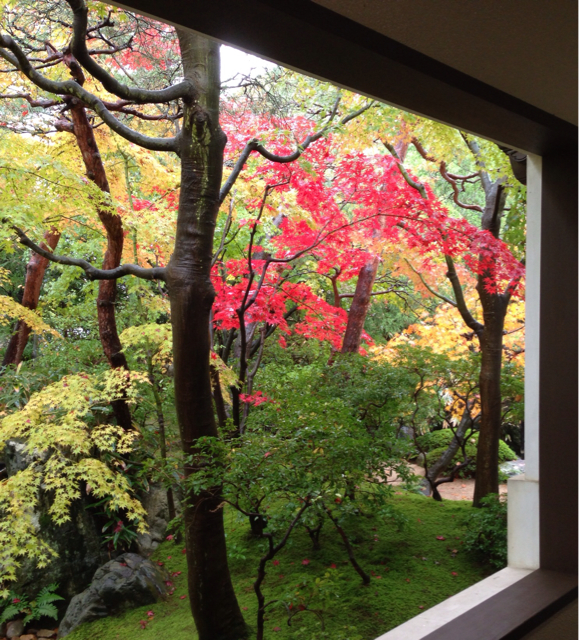 f:id:polish0629:20131120133420j:plain