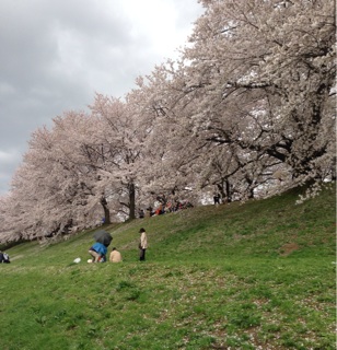 f:id:polish0629:20140404222858j:plain f:id:polish0629:20140404222858j:plain