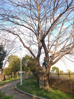 f:id:polish0629:20140406072233j:plain f:id:polish0629:20140406072233j:plain