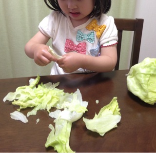 f:id:polish0629:20140524061058j:plain f:id:polish0629:20140524061058j:plain