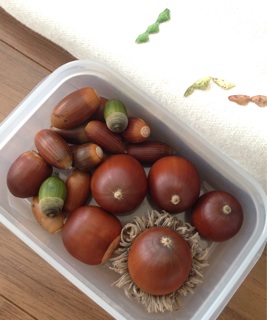 f:id:polish0629:20141017182158j:plain f:id:polish0629:20141017182158j:plain