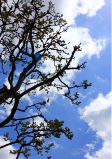 f:id:polish0629:20150423091123j:plain f:id:polish0629:20150423091123j:plain