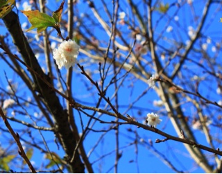f:id:polish0629:20151120142502j:plain f:id:polish0629:20151120142502j:plain