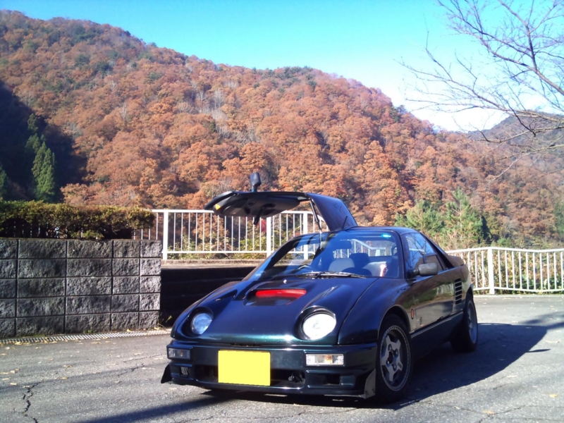 f:id:poluche356:20101121090511j:image f:id:poluche356:20101121090511j:image