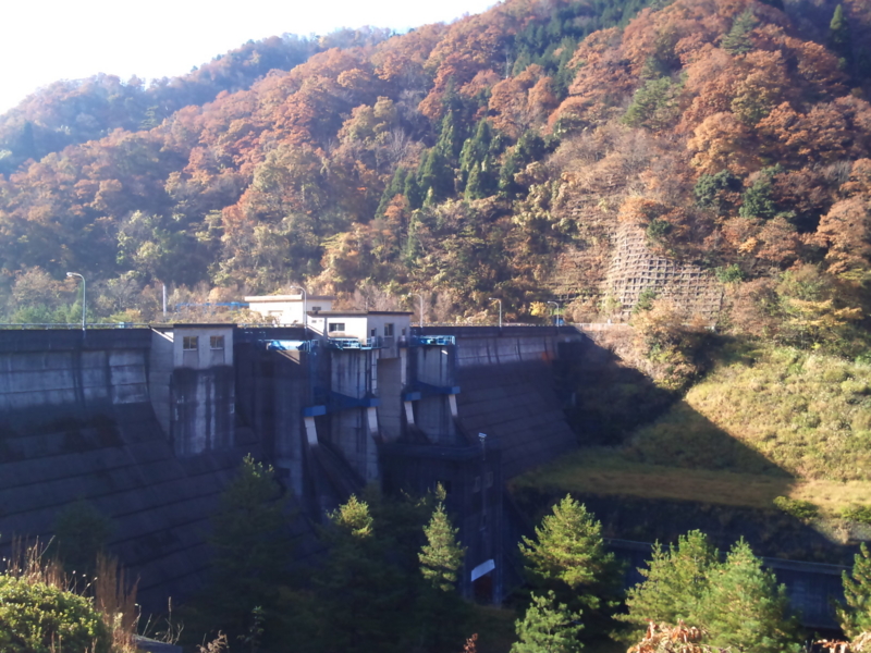f:id:poluche356:20101121090553j:image f:id:poluche356:20101121090553j:image