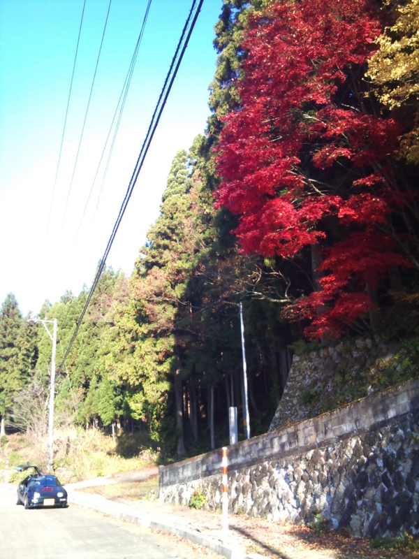 f:id:poluche356:20101121091241j:image f:id:poluche356:20101121091241j:image