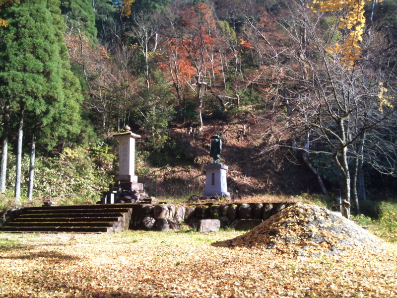 f:id:poluche356:20101121091410j:image f:id:poluche356:20101121091410j:image