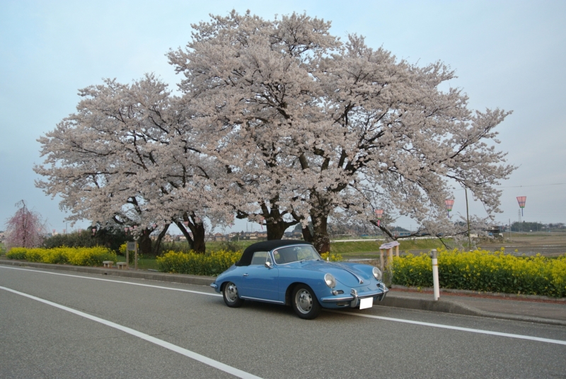 f:id:poluche356:20140414110221j:plain f:id:poluche356:20140414110221j:plain