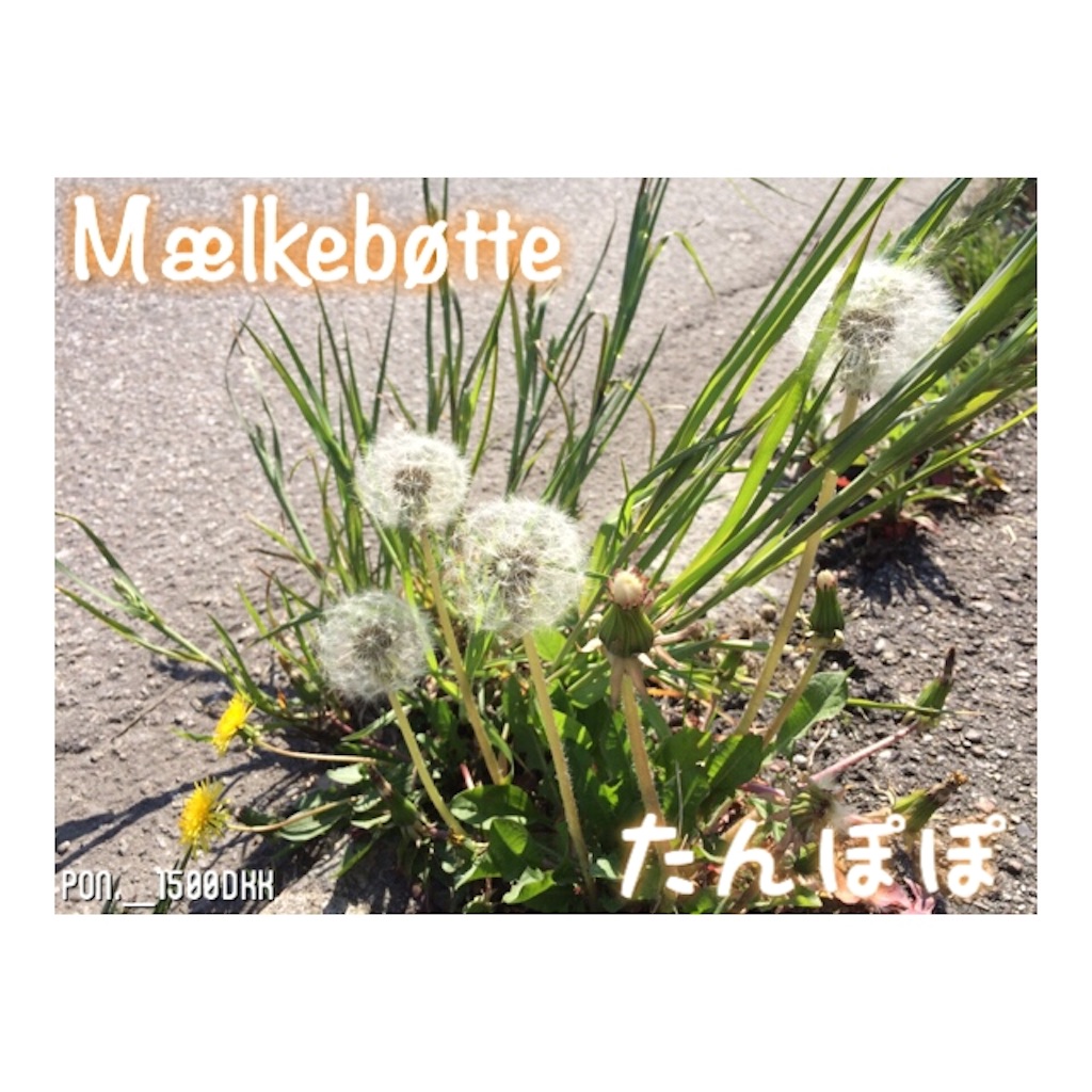 f:id:pon1500dkk:20160519210549j:image f:id:pon1500dkk:20160519210549j:image