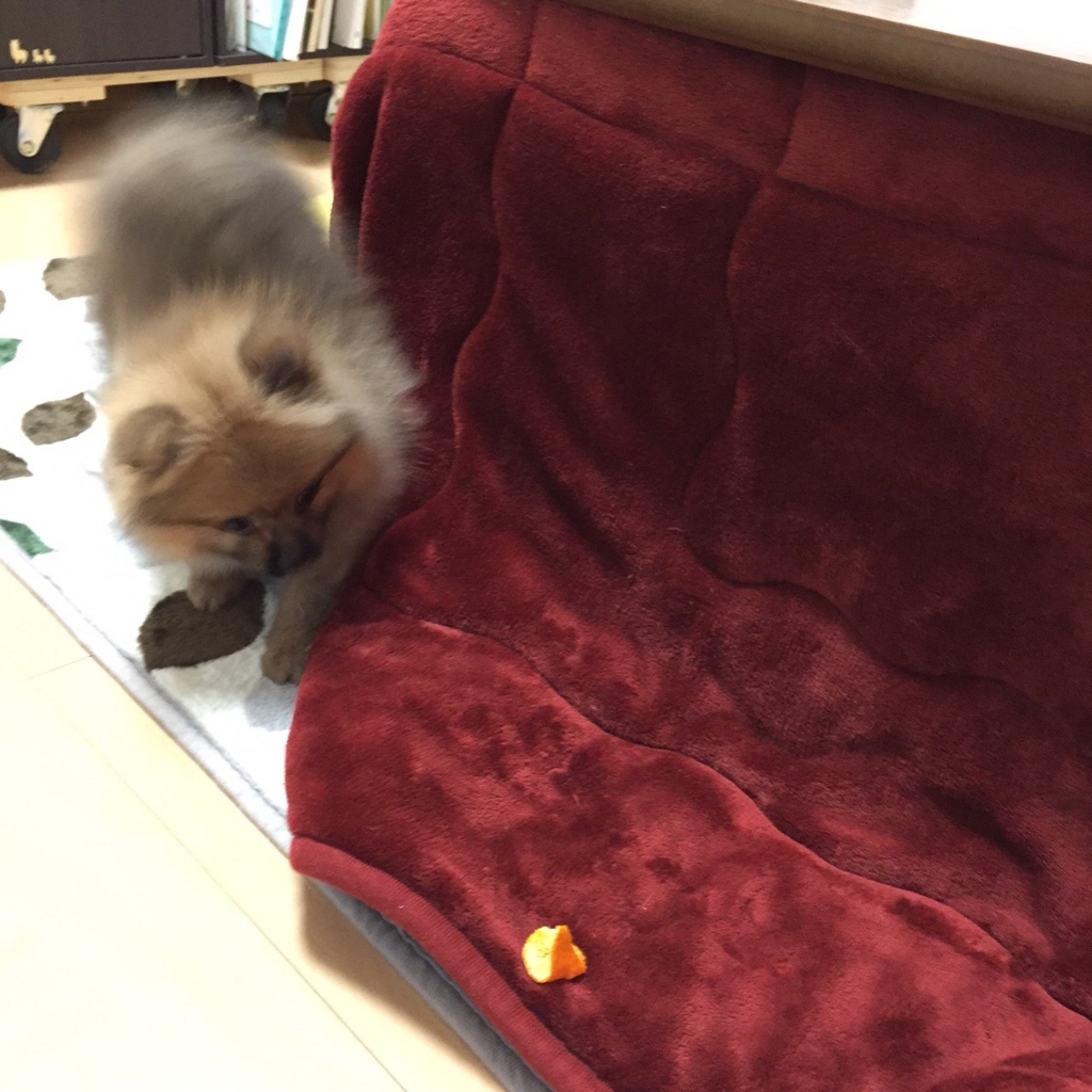 f:id:pon_ishikawa:20151218075738j:plain f:id:pon_ishikawa:20151218075738j:plain
