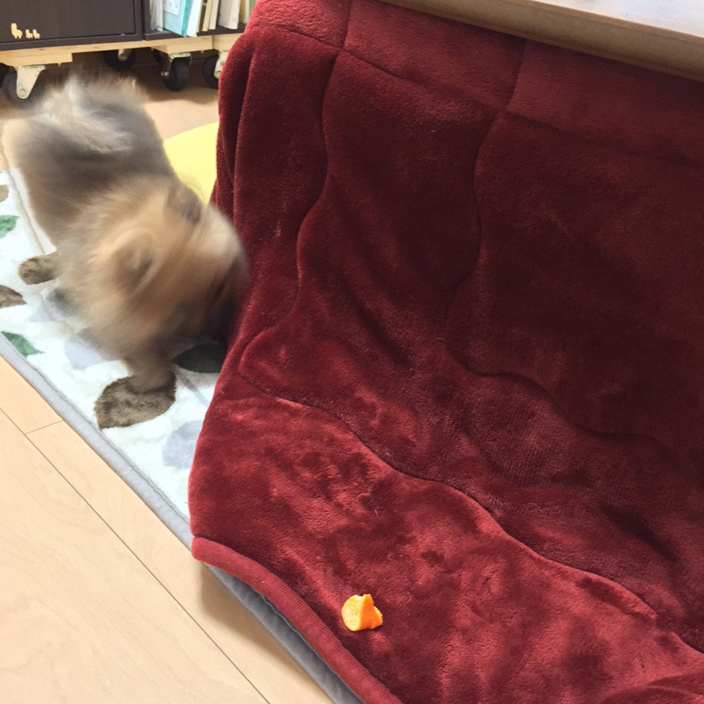 f:id:pon_ishikawa:20151218080141j:plain f:id:pon_ishikawa:20151218080141j:plain
