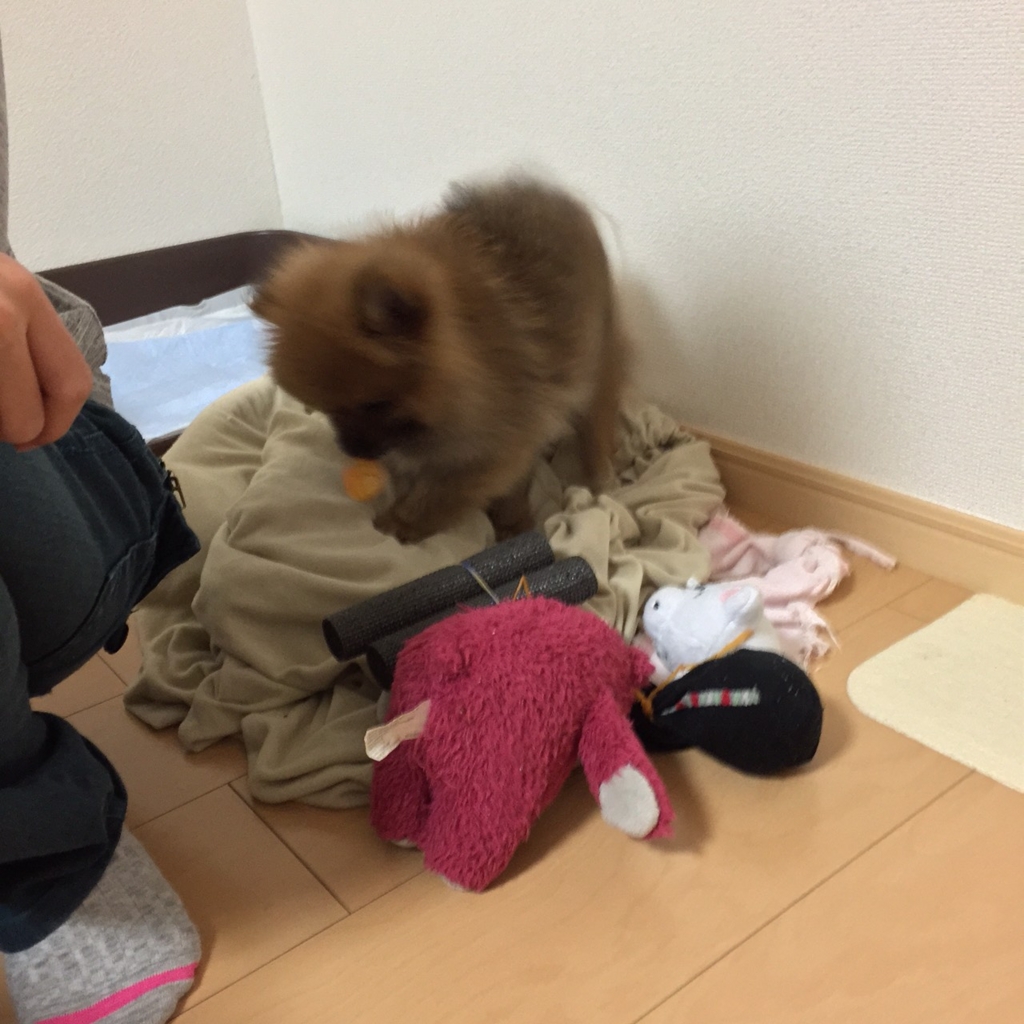 f:id:pon_ishikawa:20151218080315j:plain f:id:pon_ishikawa:20151218080315j:plain