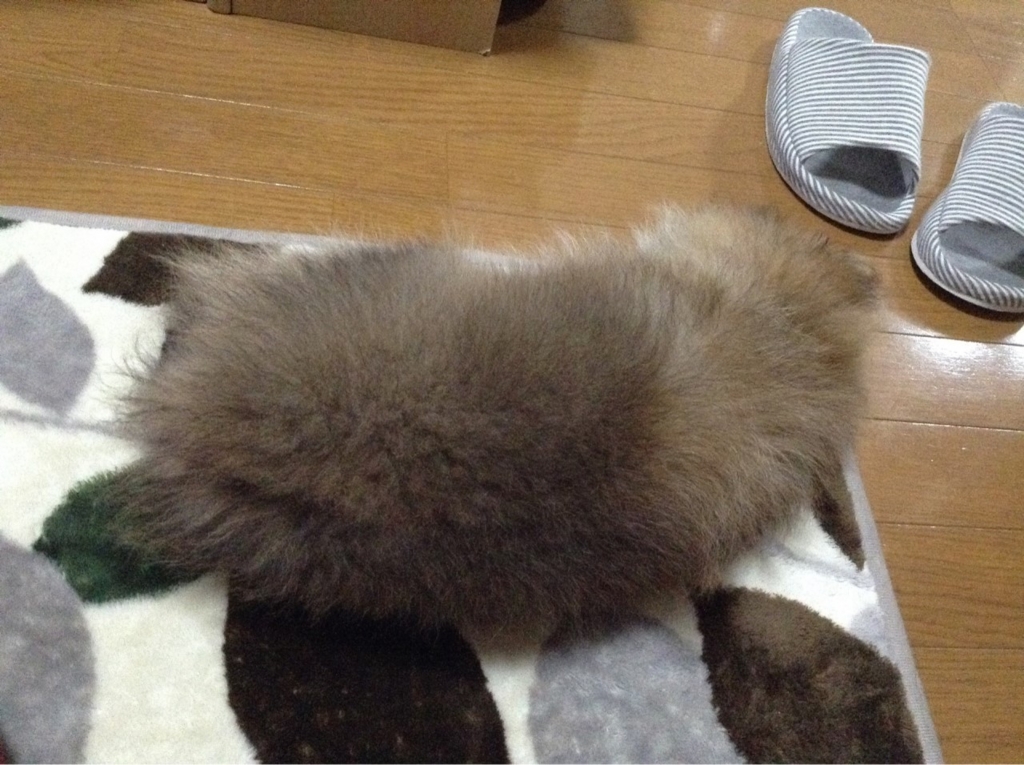 f:id:pon_ishikawa:20160108174532j:plain f:id:pon_ishikawa:20160108174532j:plain