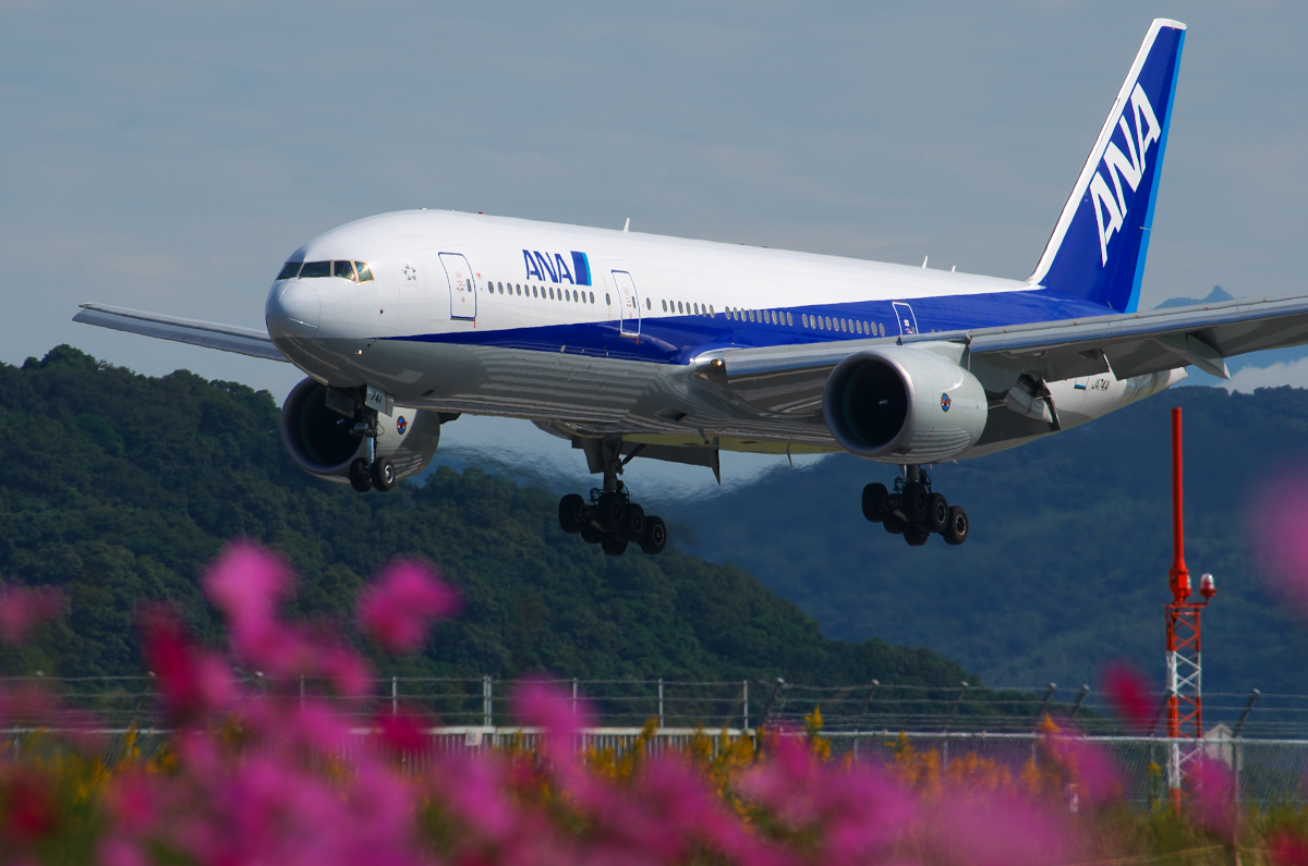 f:id:ponkichi787:20141026092220j:plain f:id:ponkichi787:20141026092220j:plain