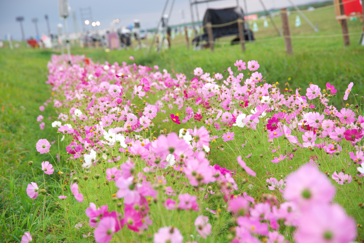 f:id:ponkichi787:20141103111920j:plain f:id:ponkichi787:20141103111920j:plain