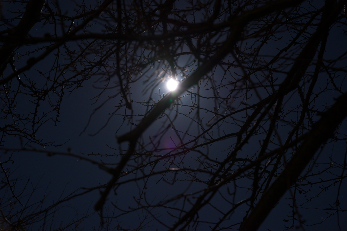 f:id:ponkichi787:20141105220210j:plain f:id:ponkichi787:20141105220210j:plain