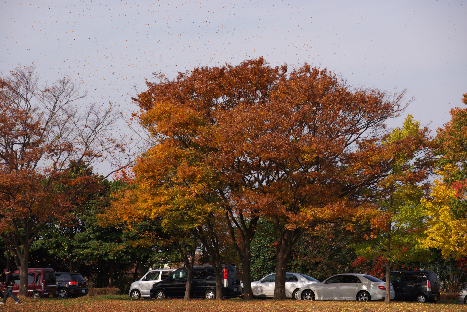 f:id:ponkichi787:20141123205334j:plain f:id:ponkichi787:20141123205334j:plain