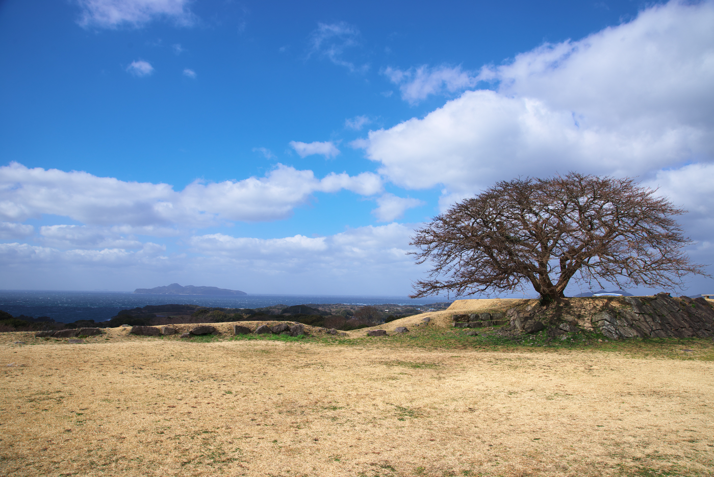 f:id:ponkichi787:20150212213005j:plain f:id:ponkichi787:20150212213005j:plain