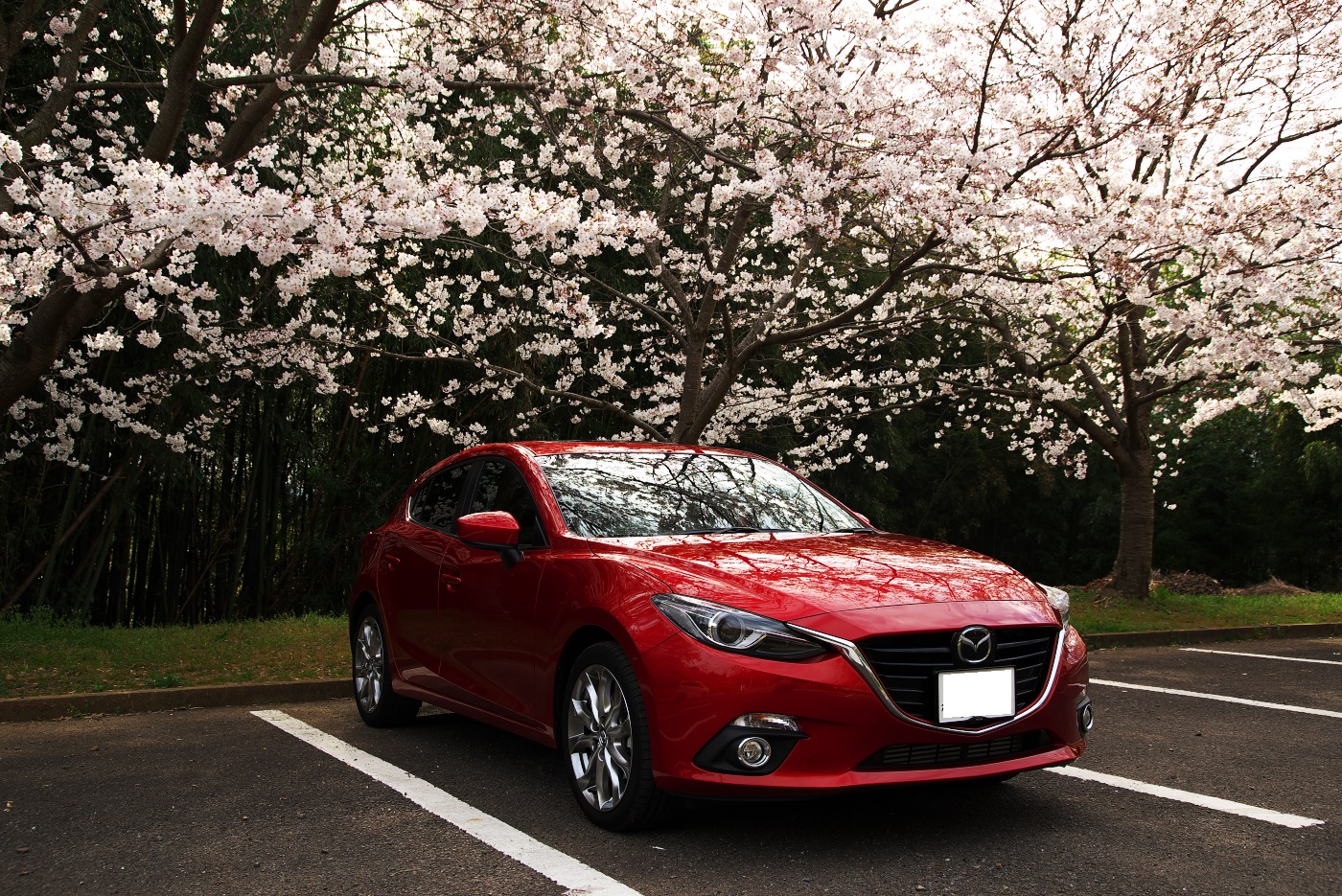 f:id:ponkichi787:20150328211305j:plain f:id:ponkichi787:20150328211305j:plain