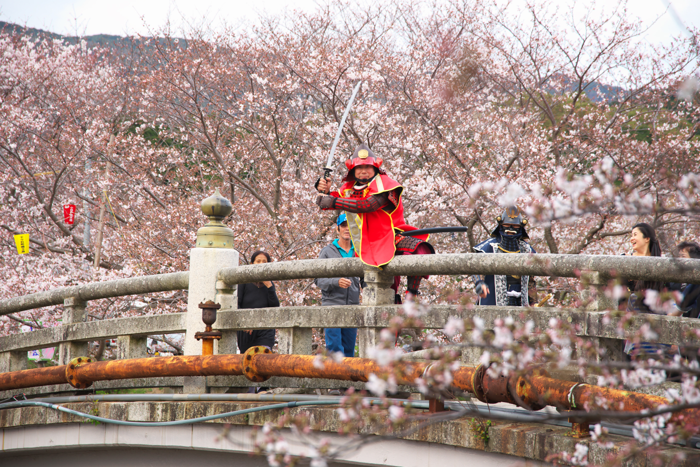 f:id:ponkichi787:20150401201949j:plain