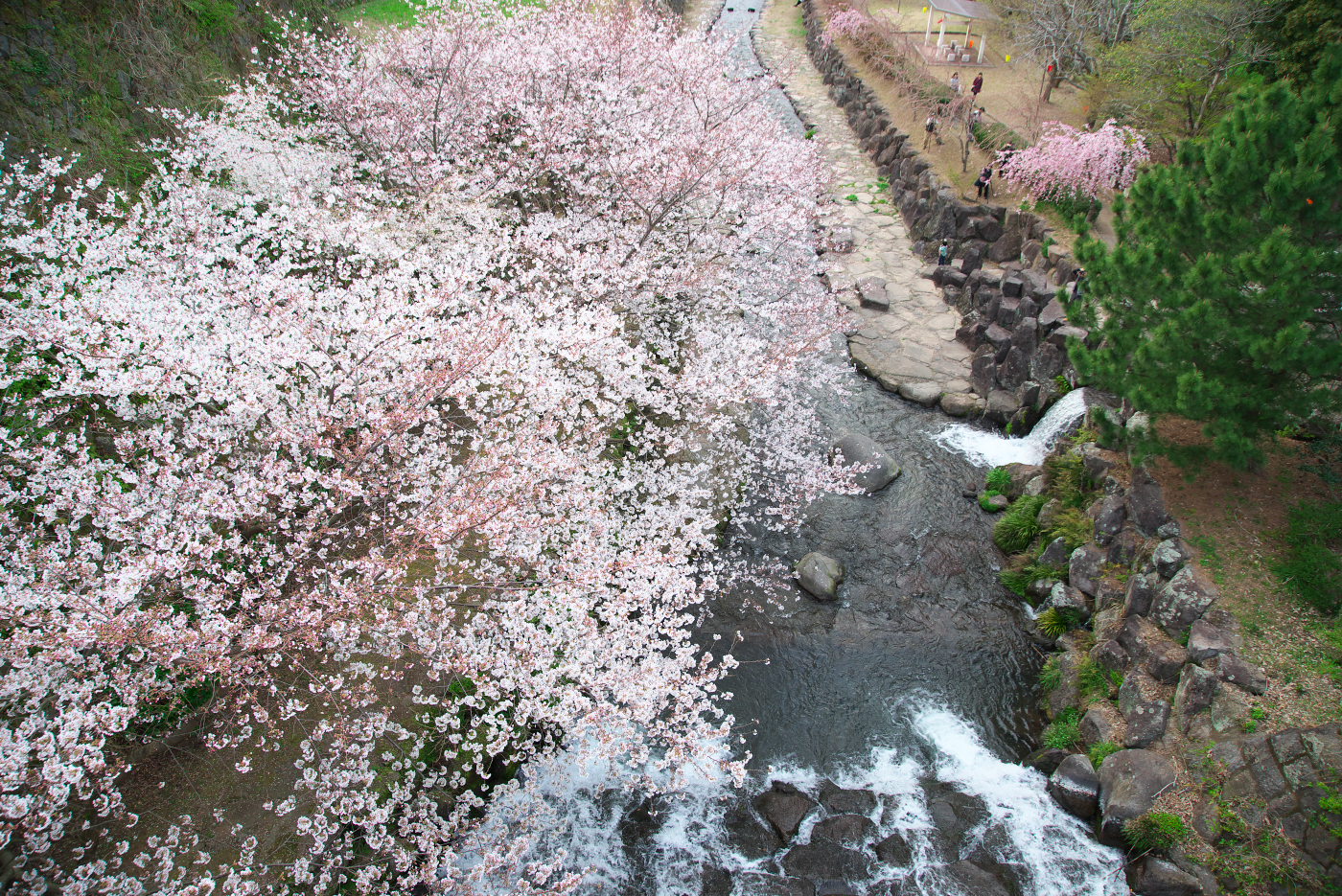 f:id:ponkichi787:20150401201951j:plain f:id:ponkichi787:20150401201951j:plain