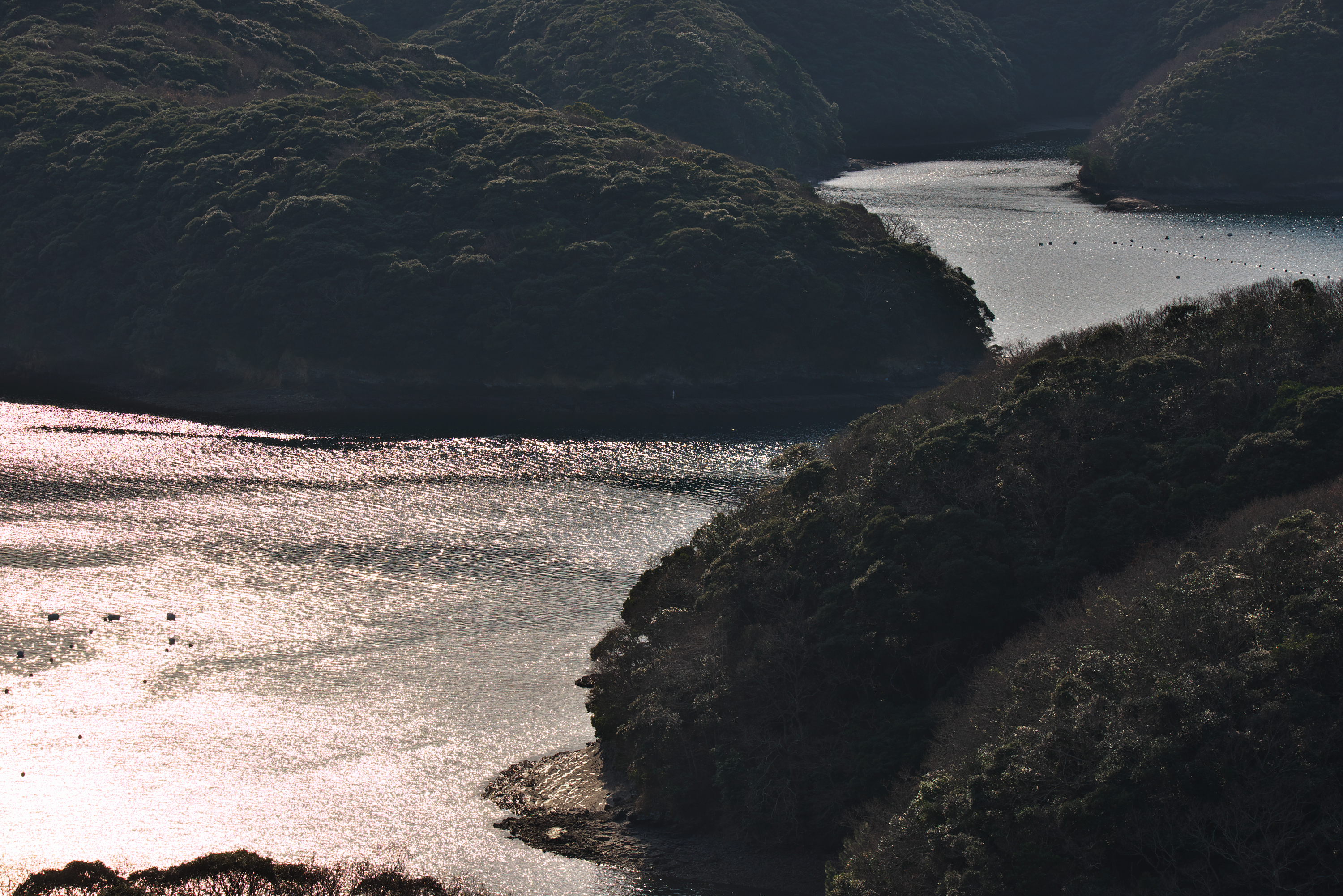 f:id:ponkichi787:20160111200117j:plain f:id:ponkichi787:20160111200117j:plain