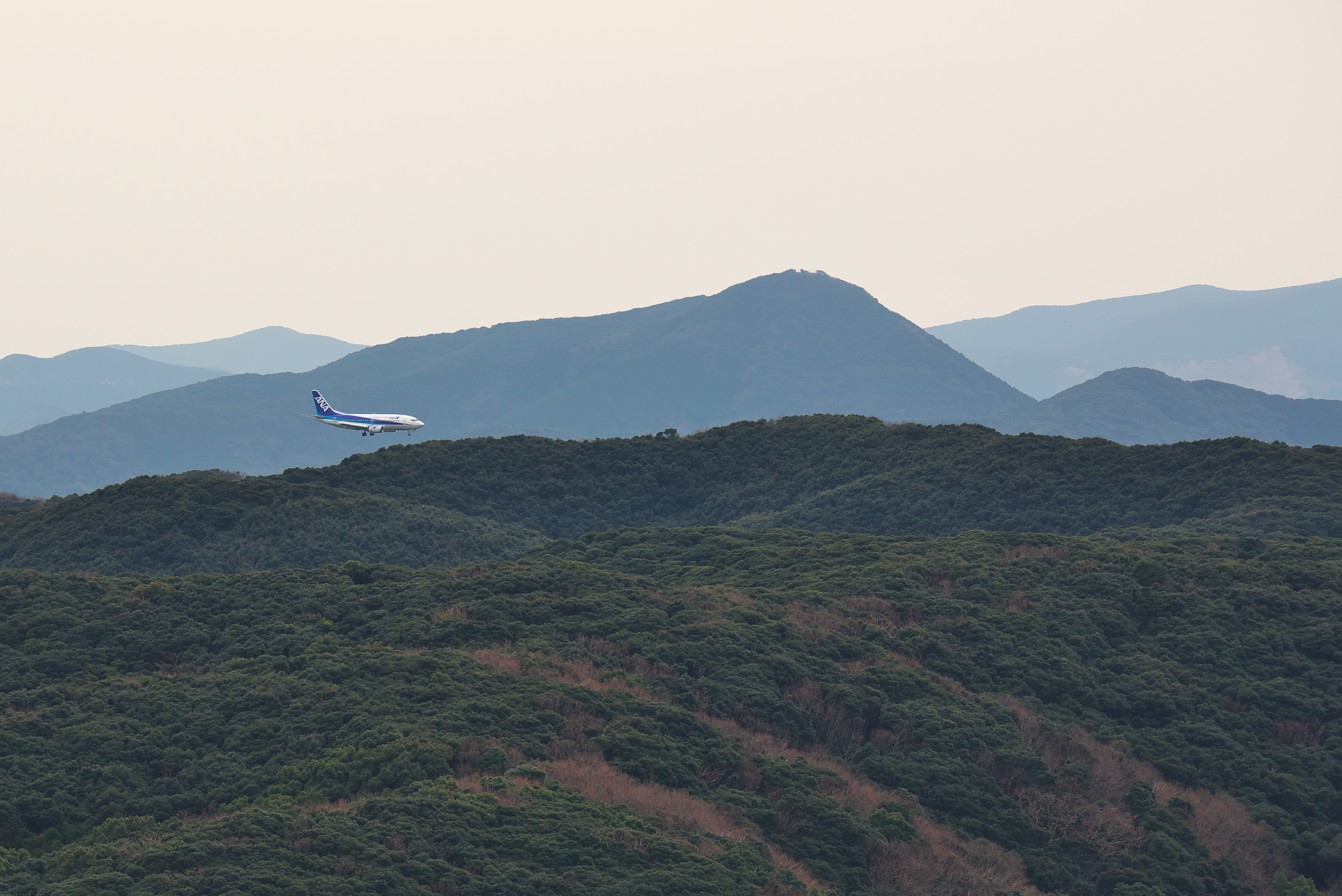 f:id:ponkichi787:20160111200119j:plain f:id:ponkichi787:20160111200119j:plain