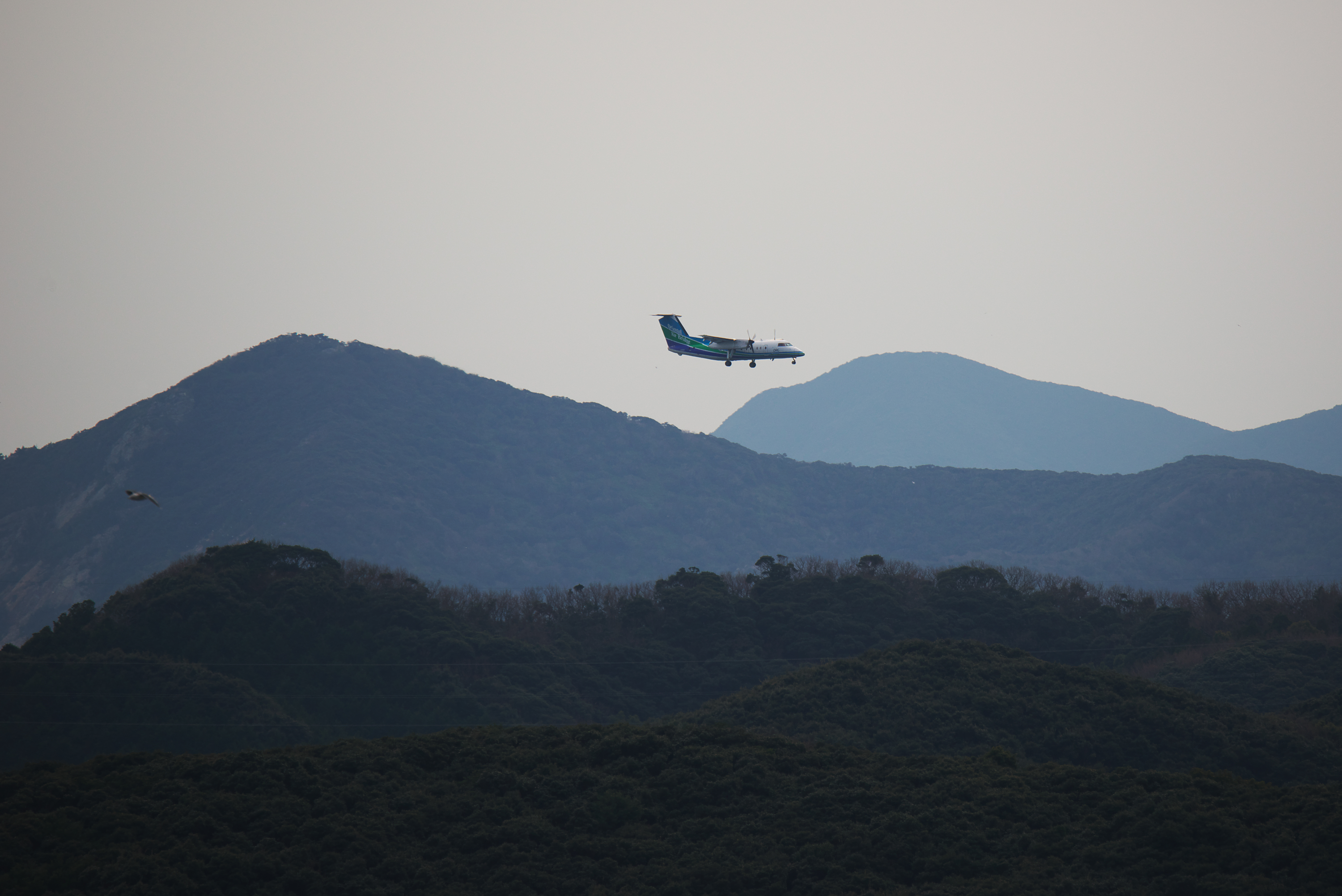 f:id:ponkichi787:20160111200359j:plain f:id:ponkichi787:20160111200359j:plain