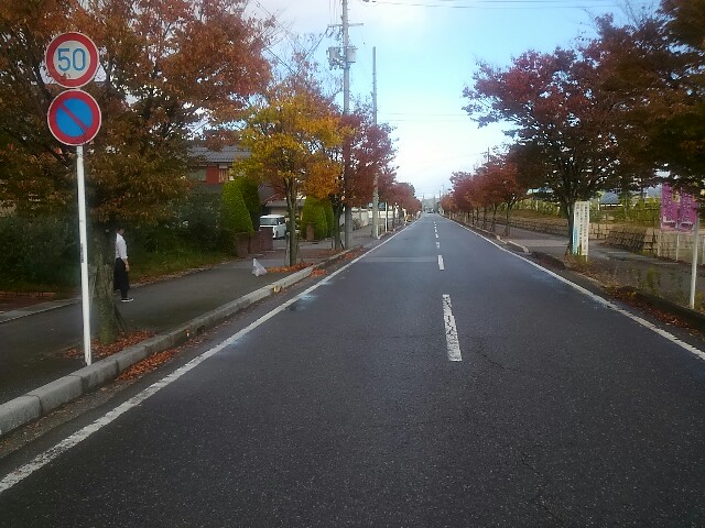 f:id:ponkotsuworker:20151103214641j:image f:id:ponkotsuworker:20151103214641j:image