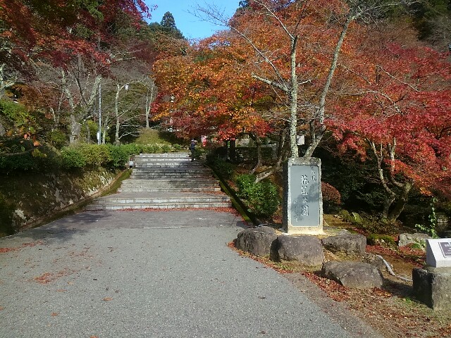 f:id:ponkotsuworker:20151111214941j:image f:id:ponkotsuworker:20151111214941j:image