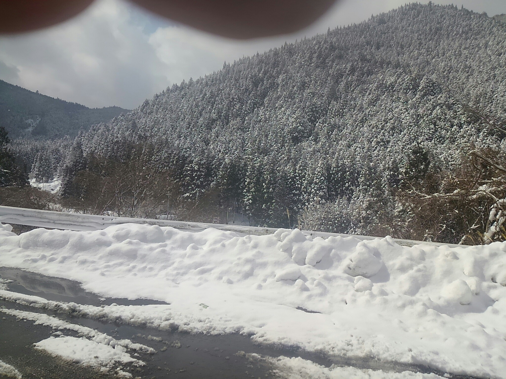 f:id:ponkotsuworker:20160302192125j:image f:id:ponkotsuworker:20160302192125j:image