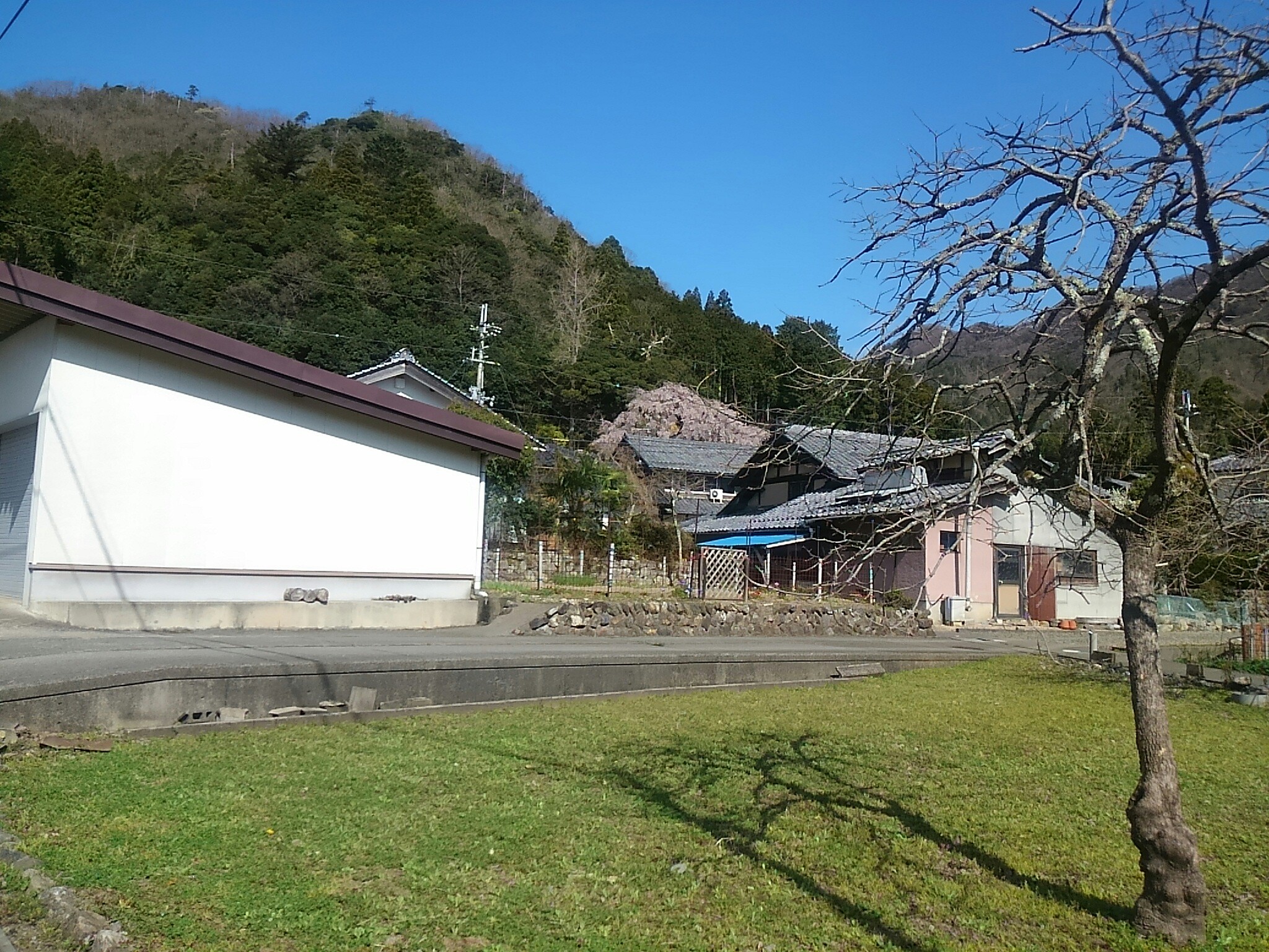 f:id:ponkotsuworker:20160404183041j:image f:id:ponkotsuworker:20160404183041j:image
