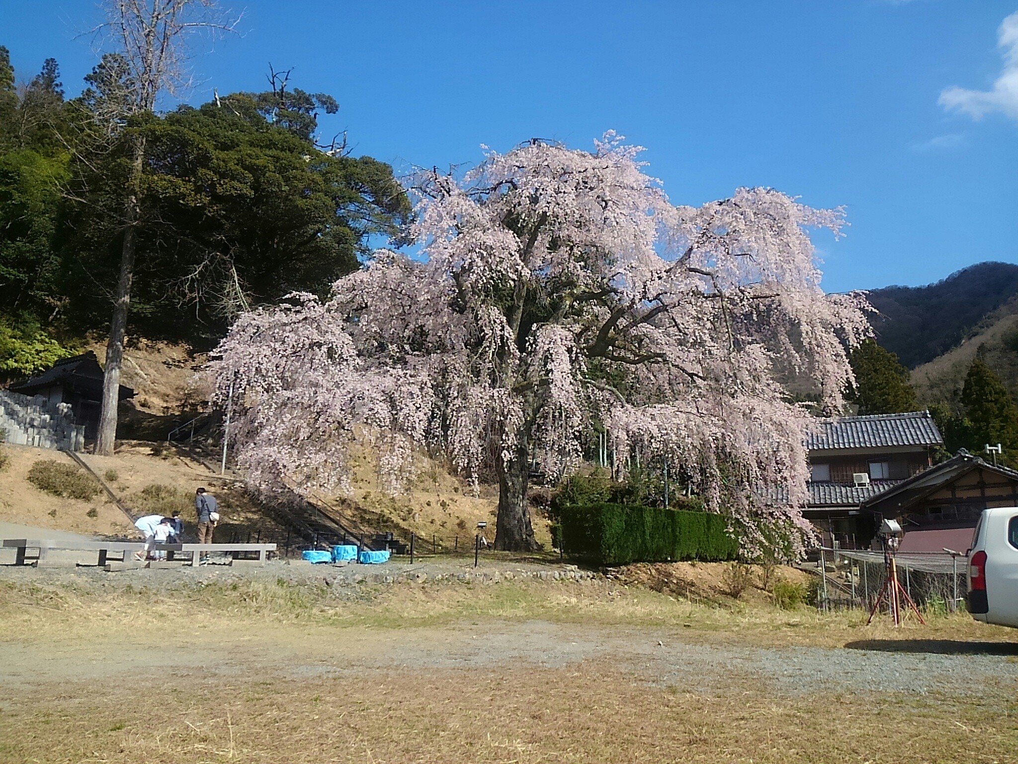 f:id:ponkotsuworker:20160404183125j:image f:id:ponkotsuworker:20160404183125j:image
