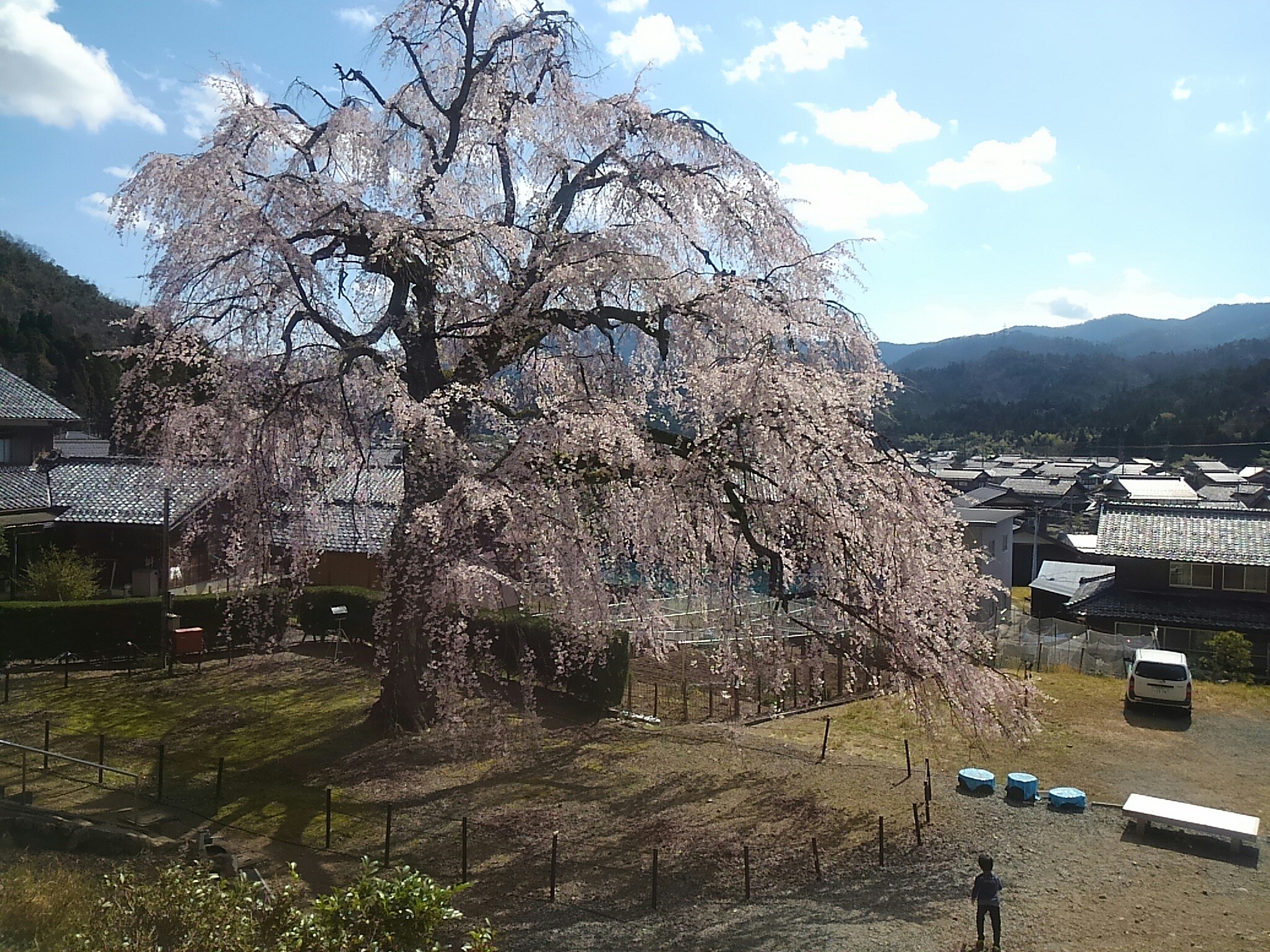 f:id:ponkotsuworker:20160404183218j:image f:id:ponkotsuworker:20160404183218j:image