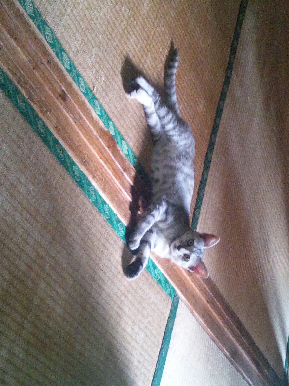 f:id:ponkotsuworker:20160614185643j:image f:id:ponkotsuworker:20160614185643j:image