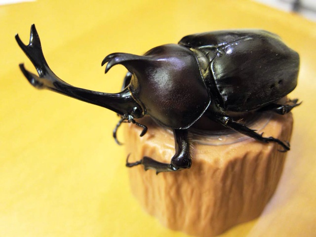 f:id:ponkotukko:20140725190939j:plain f:id:ponkotukko:20140725190939j:plain
