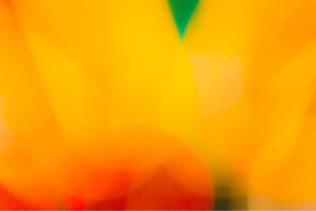 f:id:ponkotukko:20141016195535j:plain f:id:ponkotukko:20141016195535j:plain