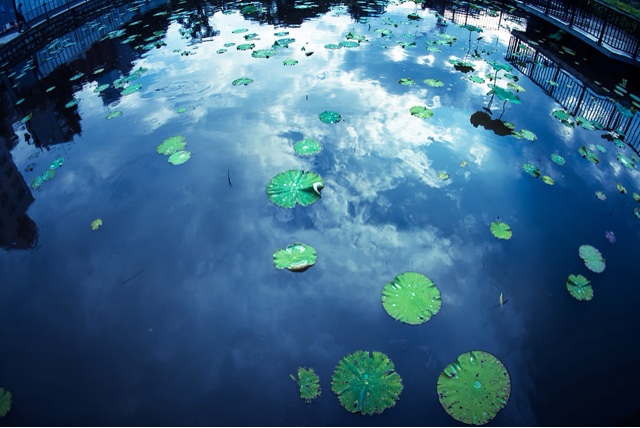 f:id:ponkotukko:20150112172401j:plain f:id:ponkotukko:20150112172401j:plain