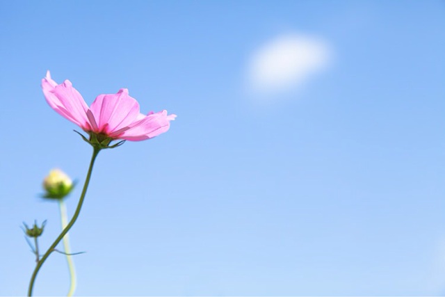 f:id:ponkotukko:20150223193331j:plain f:id:ponkotukko:20150223193331j:plain
