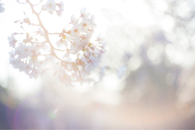f:id:ponkotukko:20150405201049j:plain f:id:ponkotukko:20150405201049j:plain