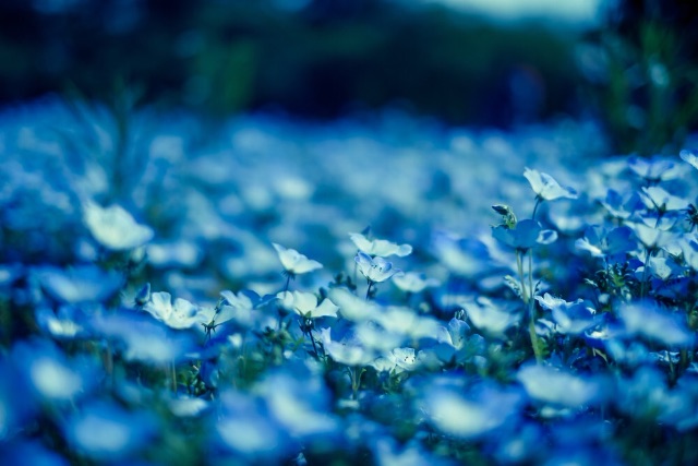 f:id:ponkotukko:20150522192450j:image f:id:ponkotukko:20150522192450j:image