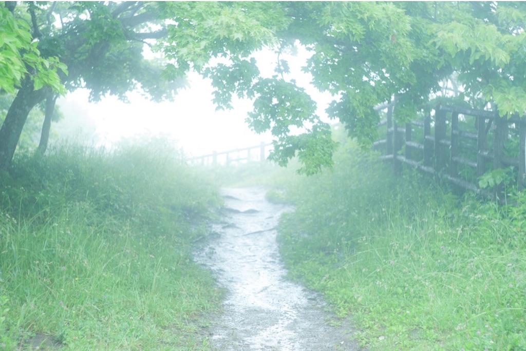 f:id:ponkotukko:20150810183049j:image f:id:ponkotukko:20150810183049j:image