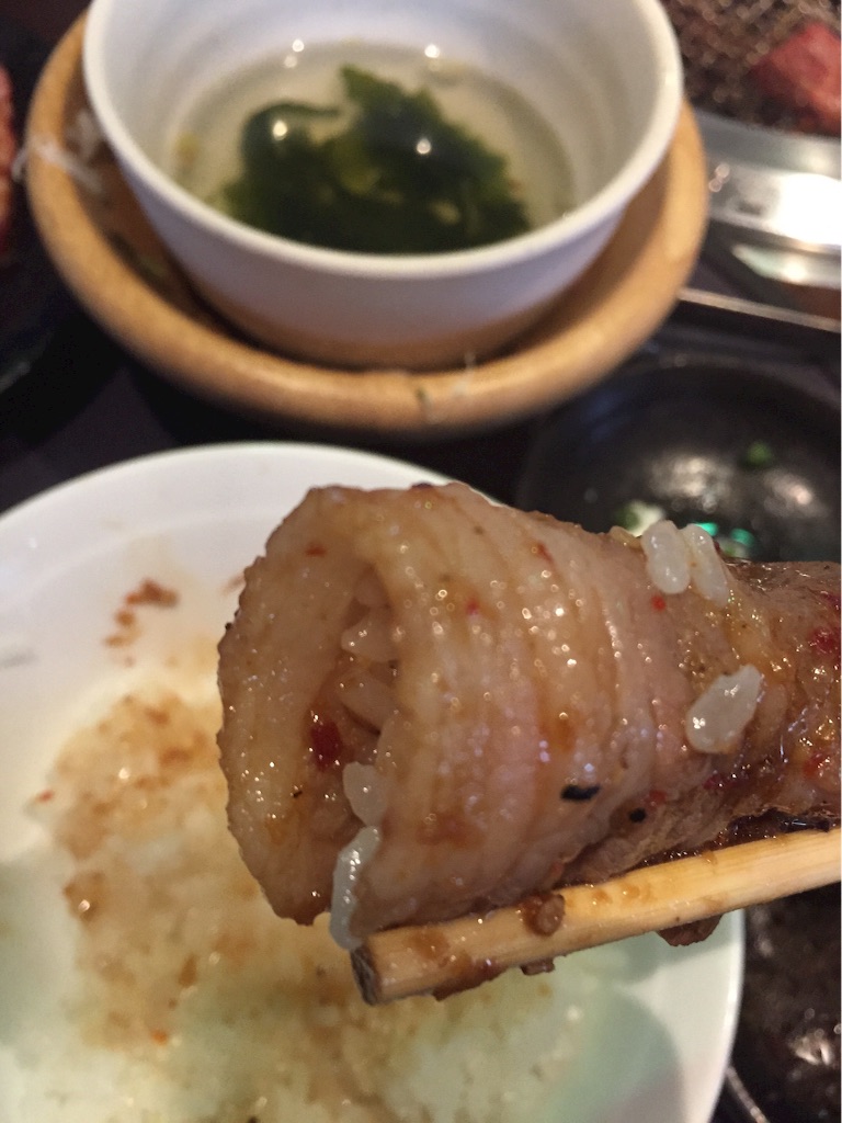 f:id:ponkotukko:20160614132553j:image f:id:ponkotukko:20160614132553j:image