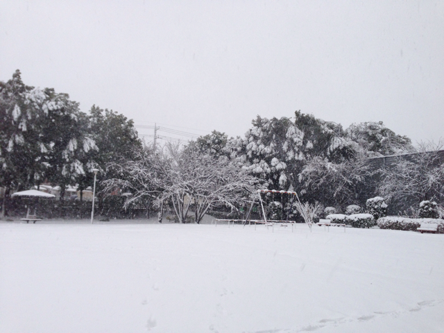 f:id:ponsan:20130114161026j:plain f:id:ponsan:20130114161026j:plain