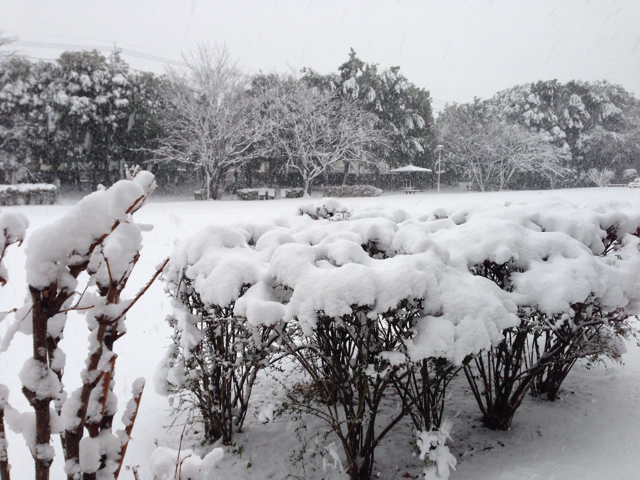 f:id:ponsan:20130114161042j:plain f:id:ponsan:20130114161042j:plain